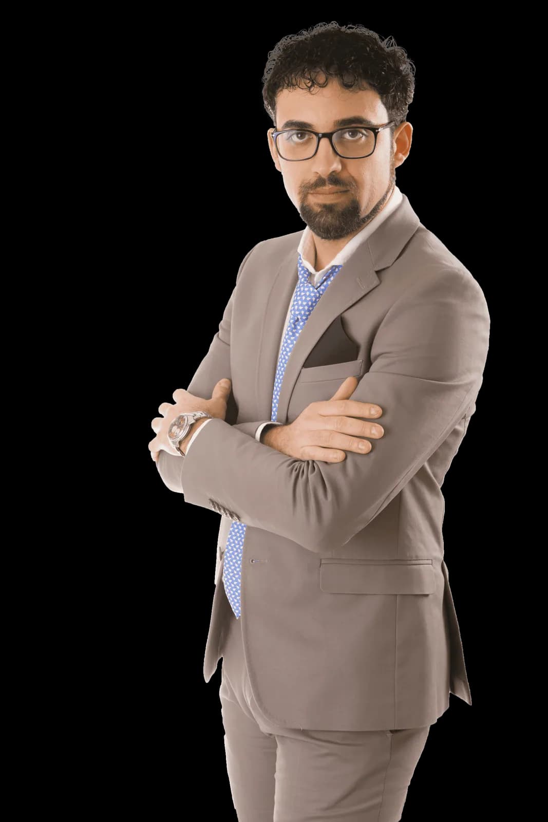 Nicola Ruotolo, Consulente per aziende e professionisti